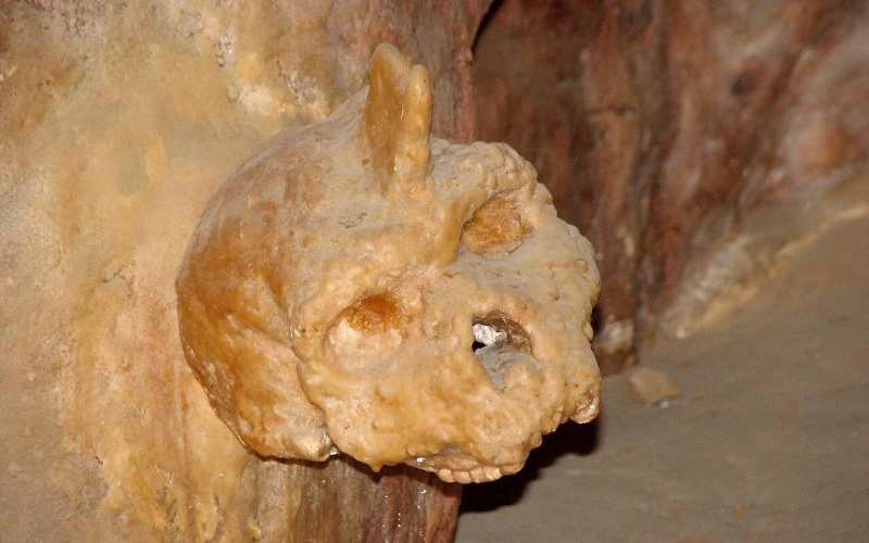 Crânio de Petralona sugere espécie mais primitiva do que Homo sapiens e neandertais