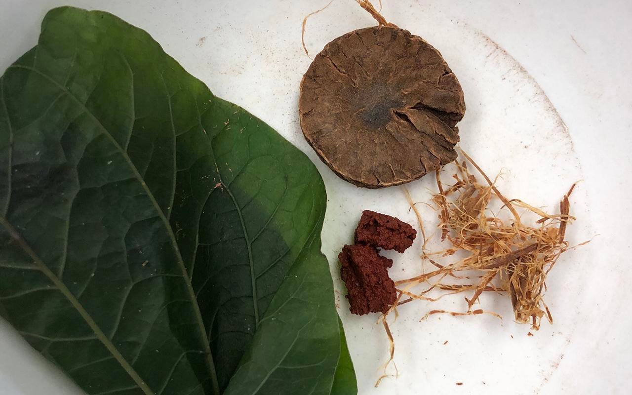 Ingredientes modernos do fumo de bétele: folha de Piper betle, noz de bétele (Areca catechu L.), pasta de calcário, tabaco (Nicotiana tabacum L.) e filamentos da casca de Senegalia catechu. Crédito: Piyawit Moonkham