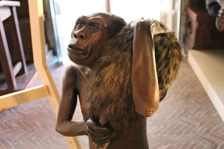 Uma reconstrução do Homo floresiensis. Crédito: Paolo C / CC BY-NC-SA 2.0
