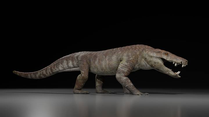 Um modelo de como os cientistas acreditam que o Kostensuchus atrox se parecia. Arte de Gabriel Díaz Yantén.
