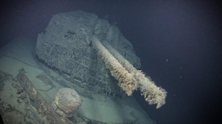 Destruidor japonês da Segunda Guerra Mundial Teruzuki Wreck encontrou Guadalcanal após 83 anos
