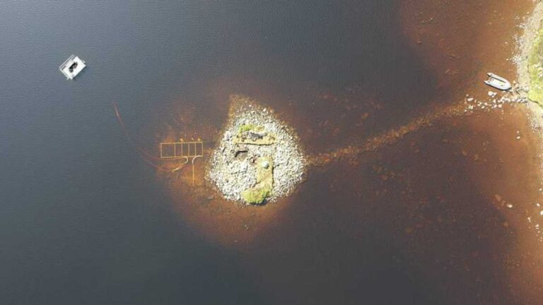 Aerial view of the crannog in Loch Bhorgastail, Scotland. Credit: University of Southampton.