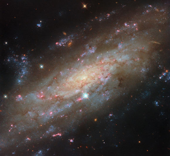 Telescópio Hubble Captura Imagem da Galáxia Espiral NGC 3137