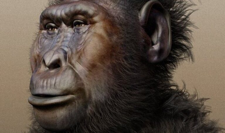 Fósseis na Etiópia revelam convivência de ancestrais humanos