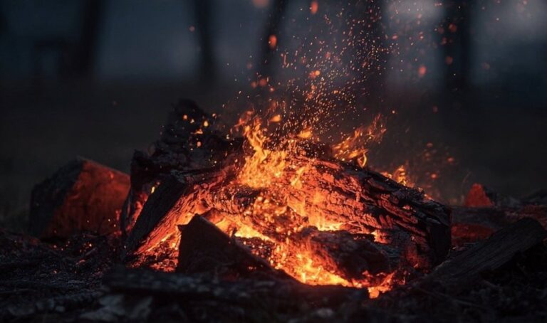 Descoberta indica uso de fogo por Homo erectus há 1,8 milhão de anos