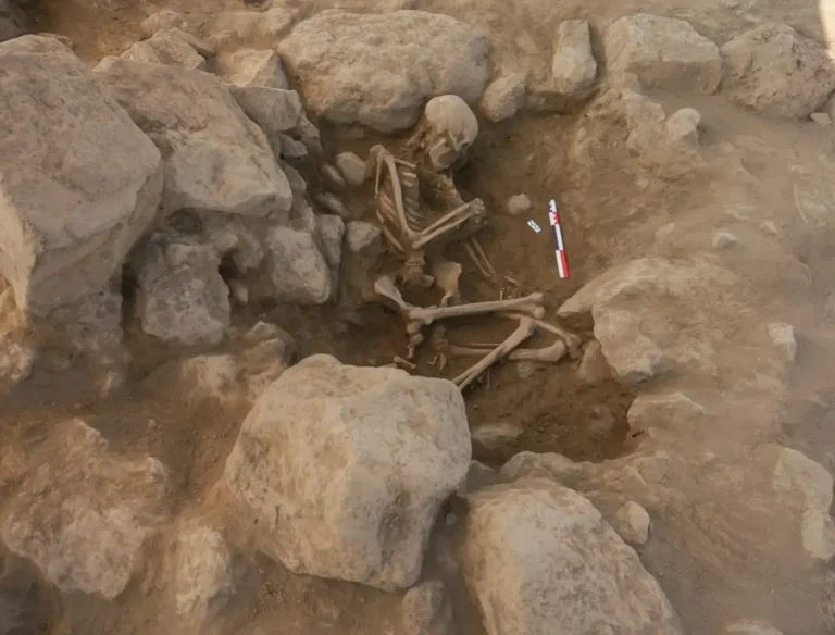 Arqueólogos descobrem sepultura feminina em Metsamor, Armênia