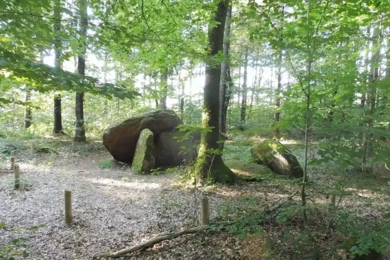 Arqueólogos descobrem estruturas de pedras em Coëby, França