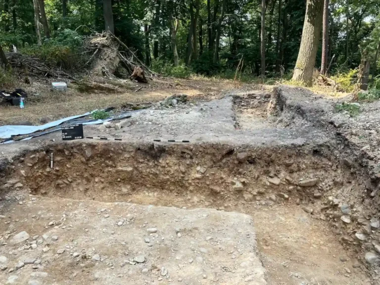 Arqueólogos descobrem tumba central em manto neolítico na Alemanha