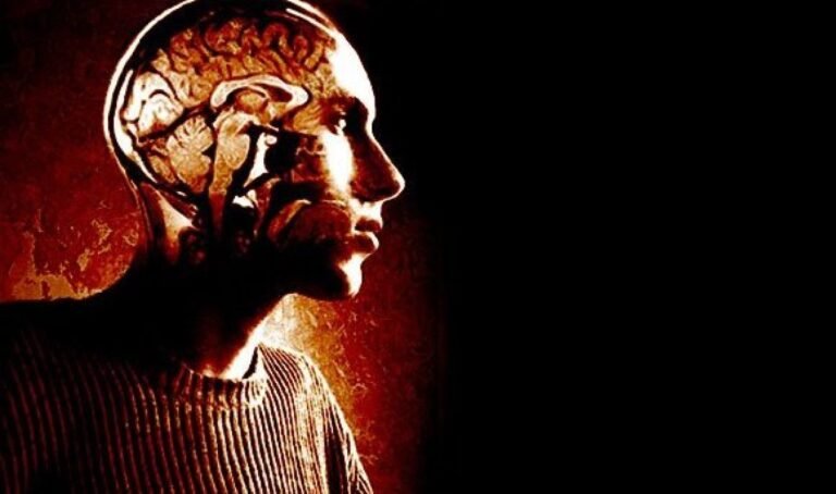 Estudo revela que cérebro humano pode ser composto por dois órgãos distintos